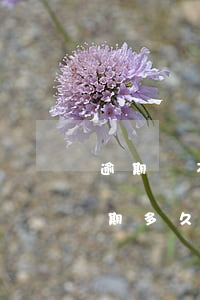 逾期會不會凍結(jié)支付寶（支付寶逾期多久會凍結(jié)銀行卡嗎）