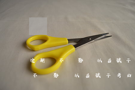 逾期會不會影響以后孩子考公務員-逾期會不會影響以后孩子考公務員政審