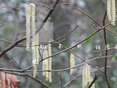 逾期會不會影響信用 逾期會不會影響信用卡使用