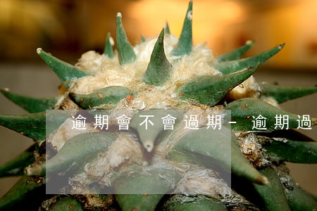 逾期會不會過期-逾期過會上征信嗎