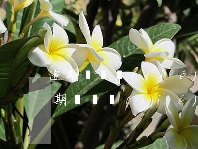 逾期會凍結(jié)資產(chǎn)(逾期會凍結(jié)資產(chǎn)賬戶嗎)