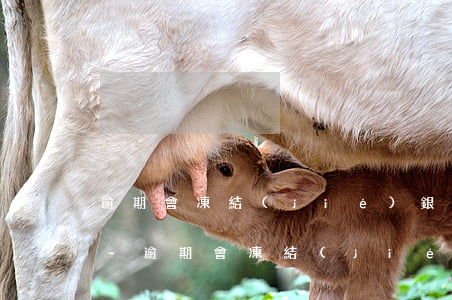 逾期會凍結(jié)銀行卡微信支付寶嗎-逾期會凍結(jié)銀行卡微信支付寶嗎安全嗎