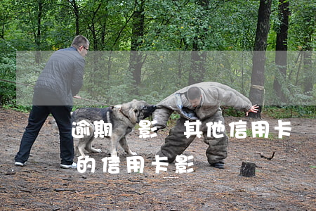 逾期會影響其他信用卡嗎(信用卡逾期其他行的信用卡影響嗎)