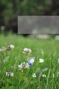 逾期會影響別的信用卡嗎（名下有房產(chǎn)信用卡逾期受影響嗎）