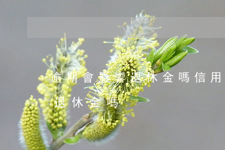 逾期會影響退休金嗎（信用卡逾期1個月影響退休金嗎）
