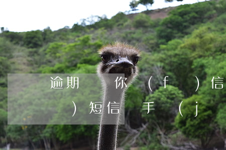 逾期會給你發(fā)信息嗎 逾期會發(fā)短信給手機(jī)好友嗎