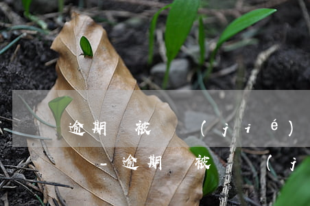 逾期會被凍結(jié)銀行卡微信支付寶嗎-逾期會被凍結(jié)銀行卡微信支付寶嗎安全嗎