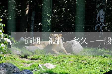 逾期會被起訴多久-一般逾期多久會被起訴
