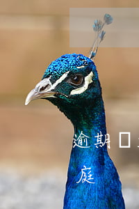 逾期會起訴嗎滴水貸(滴水貸逾期說要法院開庭)