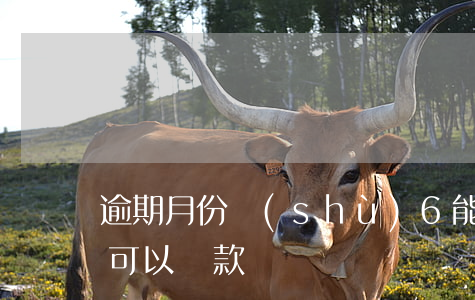 逾期月份數(shù)6能貸款嗎(6次逾期可以貸款嗎)