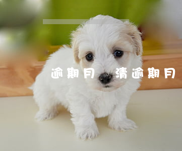 逾期月還清(逾期月還清5年后仍然不讓貸款)