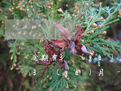 逾期有3個(gè)月逾期算連續(xù)3個(gè)月嗎-逾期有3個(gè)月逾期算連續(xù)3個(gè)月嗎怎么算