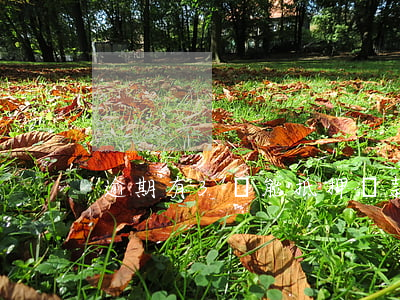 逾期有3還能抵押貸款嗎