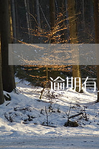 逾期有人加我微信
