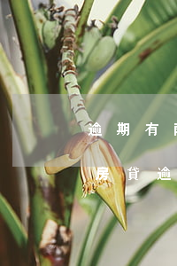 逾期有兩個(gè)月貸款買(mǎi)房(房貸逾期兩個(gè)月了怎么辦)