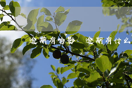 逾期有啥影響（逾期有什么影響嗎）