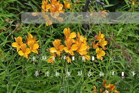 逾期有律師事務(wù)所聯(lián)系(借款逾期收到律師事務(wù)所信息)