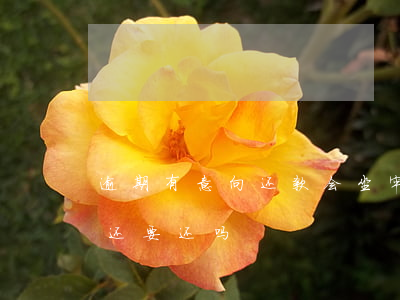 逾期有意向还款会坐牢吗(信用卡逾期坐牢后还要还吗)