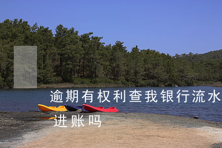 逾期有权利查我银行流水吗 银行查流水只查进账吗