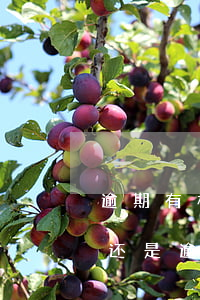 逾期有权协商还款吗-协商还款是在逾期前还是逾期后