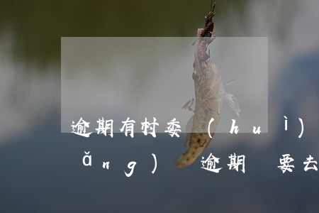 逾期有村委會(huì)上門的嗎-網(wǎng)貸逾期說要去村委會(huì)上門