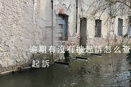 逾期有沒有被起訴怎么查詢（逾期后如何查詢起訴）