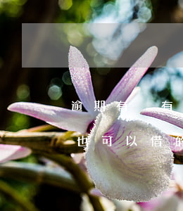 逾期有沒有貸款軟件(哪個借錢軟件貸款逾期也可以借的)