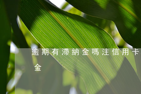 逾期有滯納金嗎（注信用卡逾期會不會有滯納金）