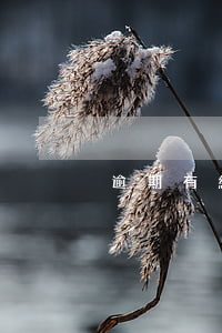 逾期有緩沖期