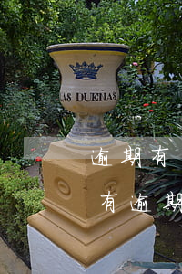 逾期有錢花加我支付寶(其他平臺(tái)有逾期能在有錢花)