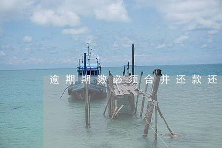逾期期数必须合并还款(还款后不算逾期)