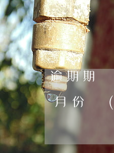逾期期數(shù)超標(biāo)(逾期月份數(shù)是逾期次數(shù)嗎)