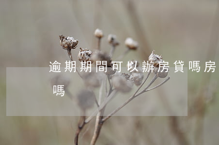 逾期期間可以辦房貸嗎(房貸逾期可以辦貸款嗎)