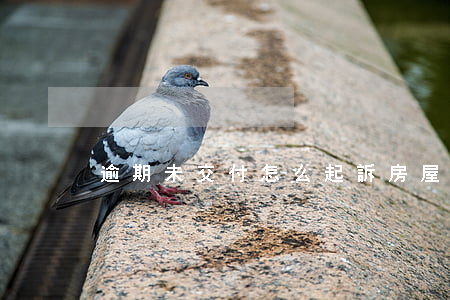 逾期未交付怎么起訴 房屋逾期未交付