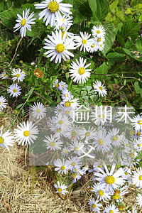 逾期未交學費視為放棄可以繳費嗎-逾期未交學費視為放棄可以繳費嗎怎么辦