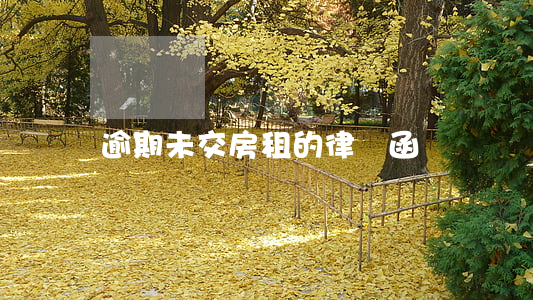 逾期未交房租的律師函