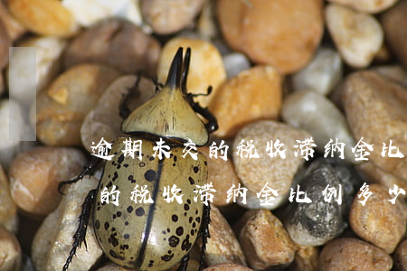逾期未交的税收滞纳金比例多少-逾期未交的税收滞纳金比例多少合适