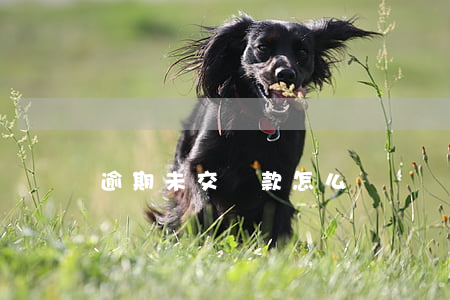 逾期未交稅款怎么處罰稅法cpa
