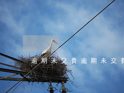 逾期未交費 逾期未交費視同撤訴