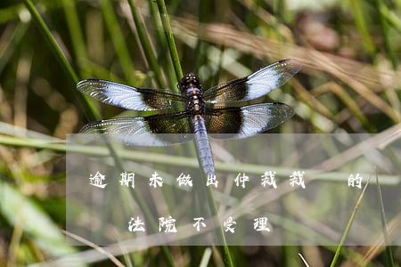 逾期未做出仲裁裁決的當事人(仲裁逾期不裁決法院不受理)