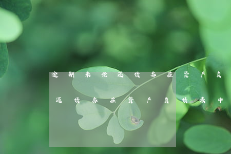 逾期未偿还债务在资产负债表中-逾期未偿还债务在资产负债表中怎么填
