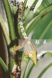 逾期未償還借款法律意見書 借款人逾期未還款的違約金