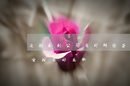 逾期未到公司自行解除劳动合同-逾期不到岗按自动离职