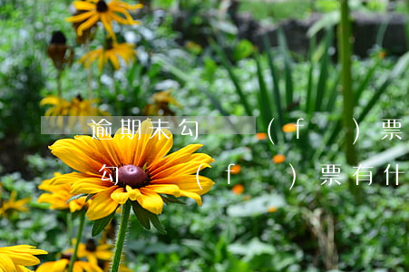 逾期未勾選發(fā)票有什么影響(逾期未勾選發(fā)票有什么影響)