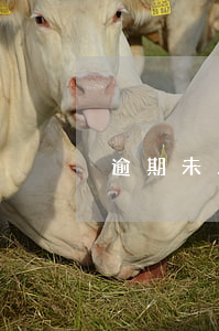 逾期未及時審驗(逾期未及時審驗會怎么樣)