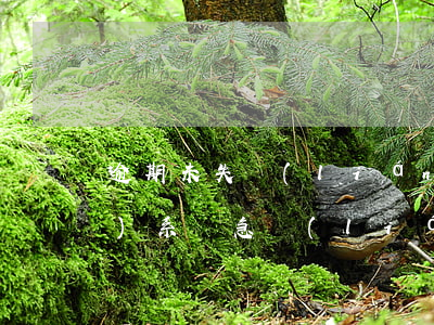 逾期未失聯(lián)催收聯(lián)系緊急聯(lián)系人-逾期未失聯(lián)催收聯(lián)系緊急聯(lián)系人合法嗎