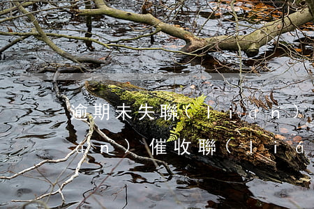 逾期未失聯(lián)(逾期未失聯(lián)催收聯(lián)系緊急聯(lián)系人)
