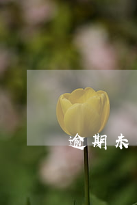 逾期未安置起訴抗辯