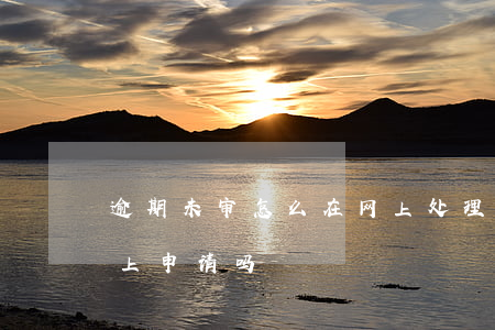 逾期未审怎么在网上处理(逾期未检验可以网上申请吗)