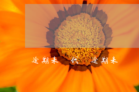 逾期未審代碼(逾期未審證代碼)